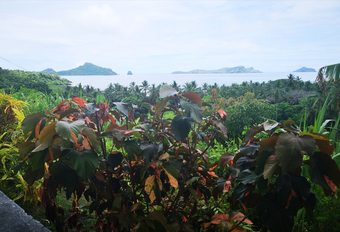 Hotel Vanilla Lodge Moh�li