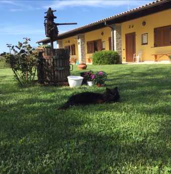Agroturismo Agriturismo La Noce