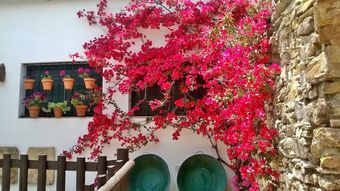 Agroturismo Hoster�a Casa Adriano