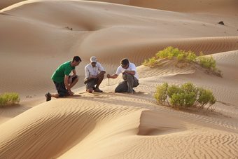 Hotel Anantara Qasr Al Sarab Desert Resort