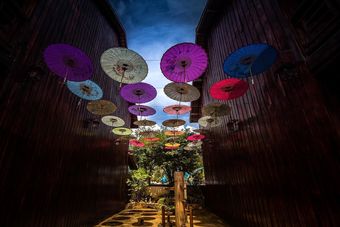 Hotel M Village Hostel