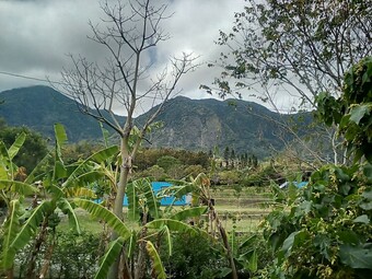 Bed & Breakfast Moonrise Inn