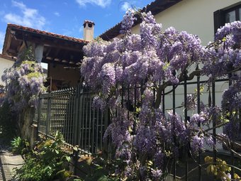 Agroturismo Altikarra II - In Cizur (undiano)