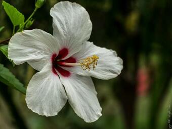 Albergue Hostal La Media Luna