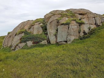 Hotel Gr�steinn Guesthouse