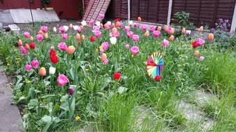 Hotel Regent Guest House