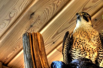 Hotel Eyjar Fishing Lodge