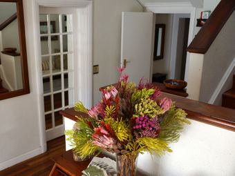 Hotel Wild Olive Guest House