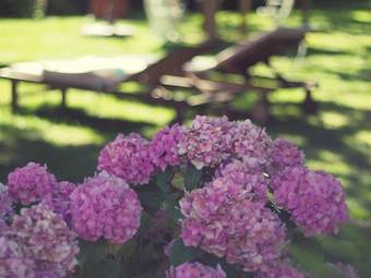 Hotel Maison D'h�tes Villa Mon Repos