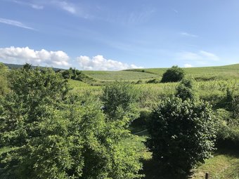 G�te Du Clos Pommier