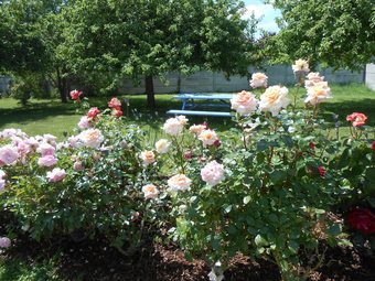 Bed & Breakfast Chambres D'h�tes Le Petit Ch�telet