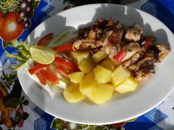 Hotel Discovery Guna