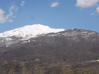 B&B L'albero Maestro