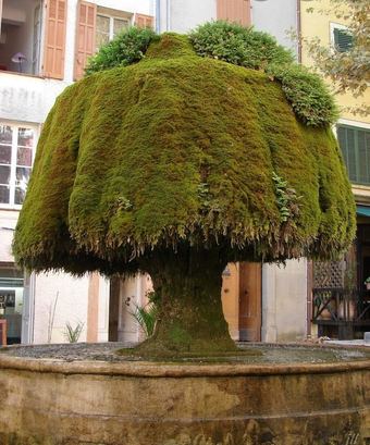 Bed & Breakfast Chambre D'h�tes Et Petit D�jeuner