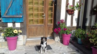 Bed & Breakfast Chez Catherine - Chaumi�re Normande