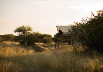 Bed & Breakfast Ngata Safari Lodge