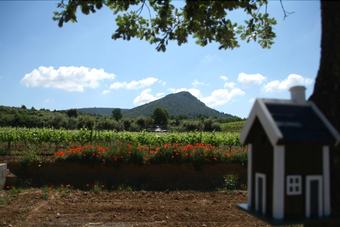 Bed & Breakfast Domaine De Villemus - La Chambre D'h�te