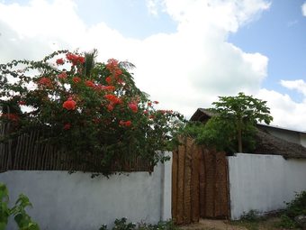 Ver fotos