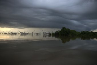 Ver fotos