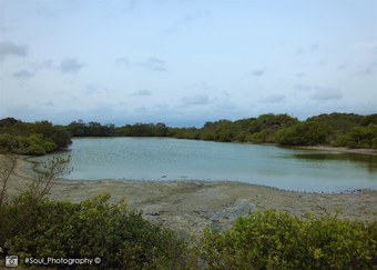 Hotel Sands Kalpitiya By Gln
