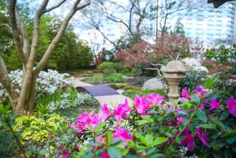 Hotel Grand Hyatt Atlanta In Buckhead