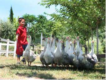 Agroturismo El Mas De Xet�