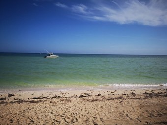 Apartamentos San Bruno Tropical Villa With Pool