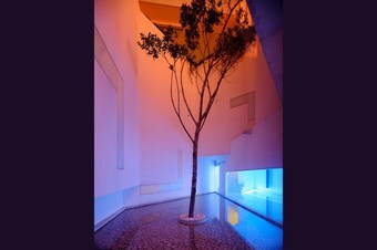 Casa Rombos By Grupo Encanto Rombo II