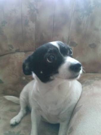 Apartamentos Rurales La Carbayala