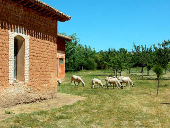 Hostal La Casa Grande De Quintanas De Gormaz