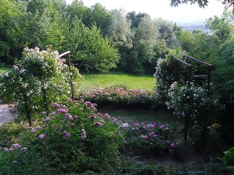 Bed & Breakfast Villa Il Palazzo