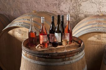 La Demeure Des Demoiselles De Pallus