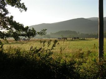 Agroturismo Mas D'arav�