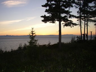 Bed & Breakfast Ocean Bluff B & B