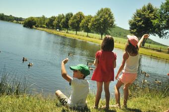 Vvf Villages "c?ur De Cantal" (vendes)