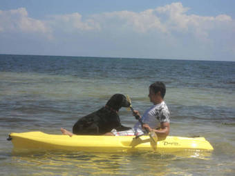 Ecological Hotel Maya Luna