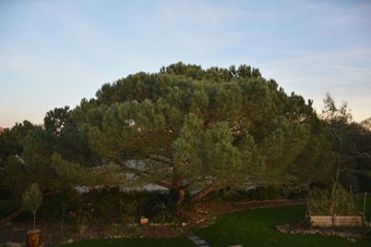 Bed & Breakfast L'abri' C�tier