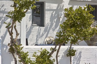 Apartamentos Agnanti Andros