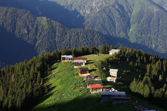 Hotel Pokut Doga Konuk Evi
