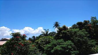 Hotel Honomu Inn