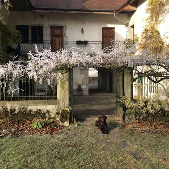 Le Ch�teau De Cormand