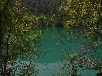 Apartamentos R�o Madera