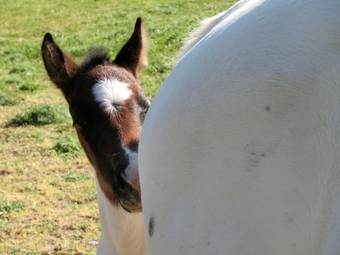 Agroturismo Agriturismo Cuca