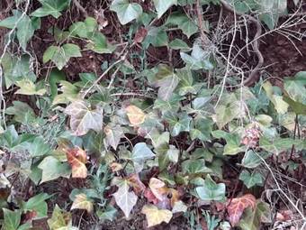 Hostal Casa Rural Mol� De F�rnols