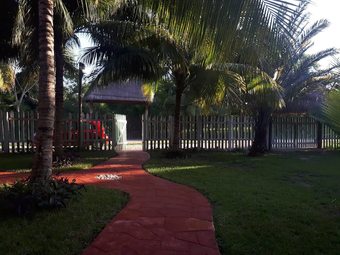 Ver fotos