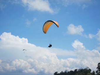 Hostal Hotel Reventazon & Guesthouse