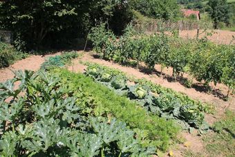 Hotel Le Haut Mesnil - 3