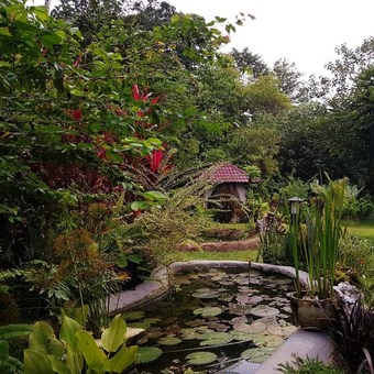 Bed & Breakfast Thousand Hills Ketambe