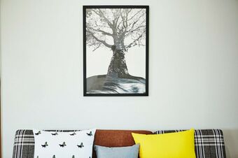 Pension Baco Home 3 & Slow Mansion