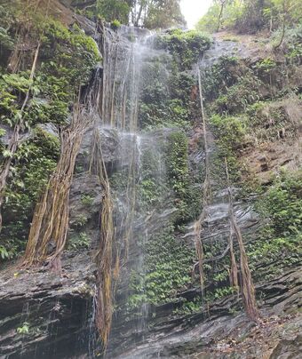 Hotel Paradise Wild Hills